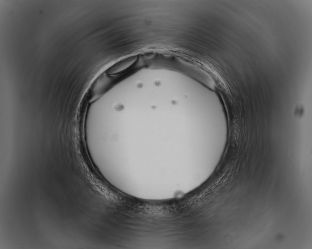 X0000099960976200806201333