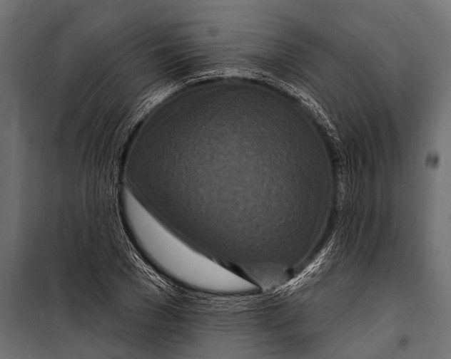 X0000099960977200806201333