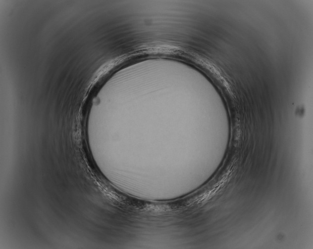 X0000099960978200806201333