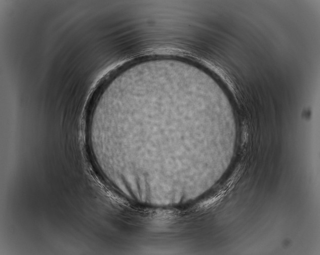 X0000099960979200806201333