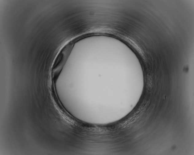 X0000099960980200806201333