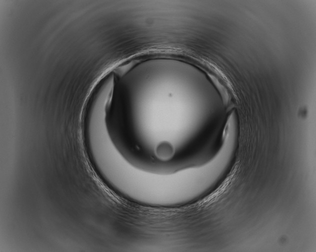 X0000099960981200806201333