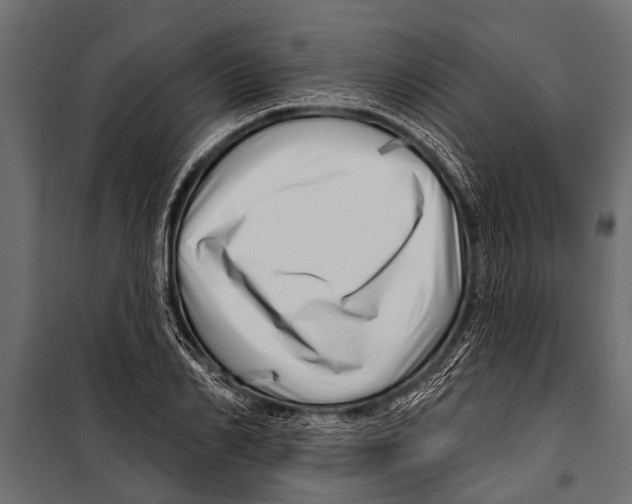 X0000099960982200806201333