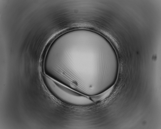 X0000099960983200806201333