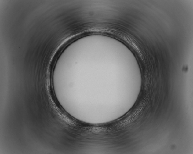 X0000099960984200806201333