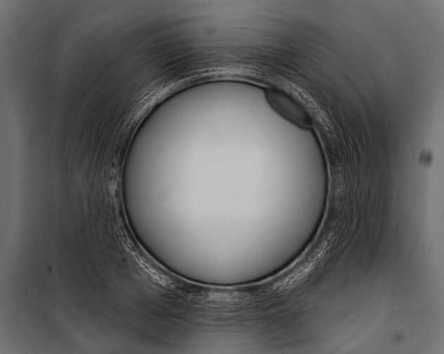 X0000099960985200806201333