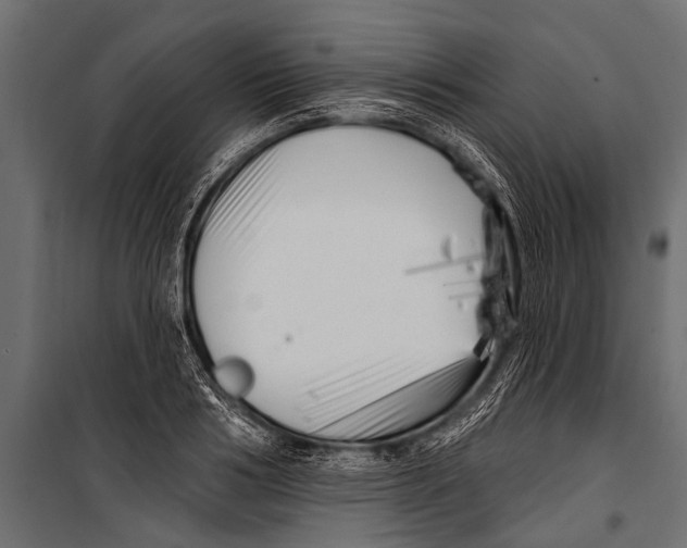 X0000099960986200806201333