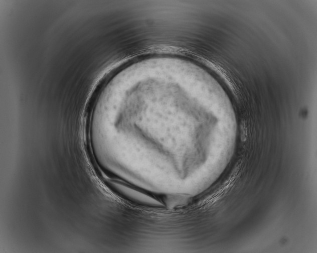 X0000099960987200806201333