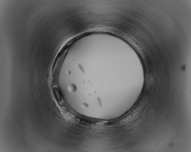 X0000099960988200806201333