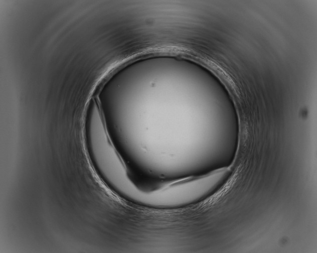 X0000099960989200806201333