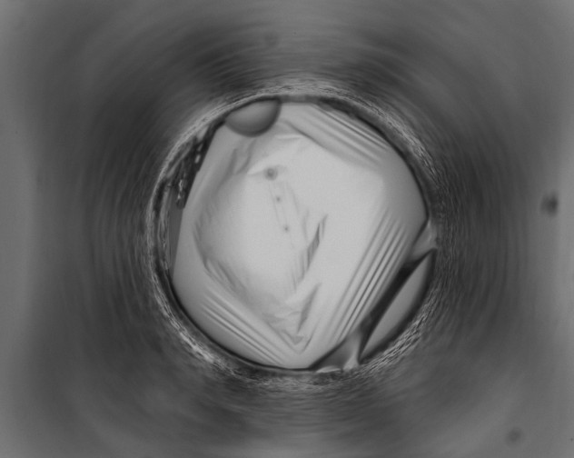 X0000099960990200806201333