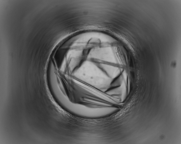 X0000099960991200806201333