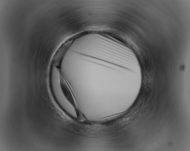 X0000099960992200806201333