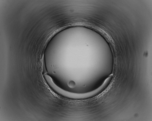 X0000099960993200806201333