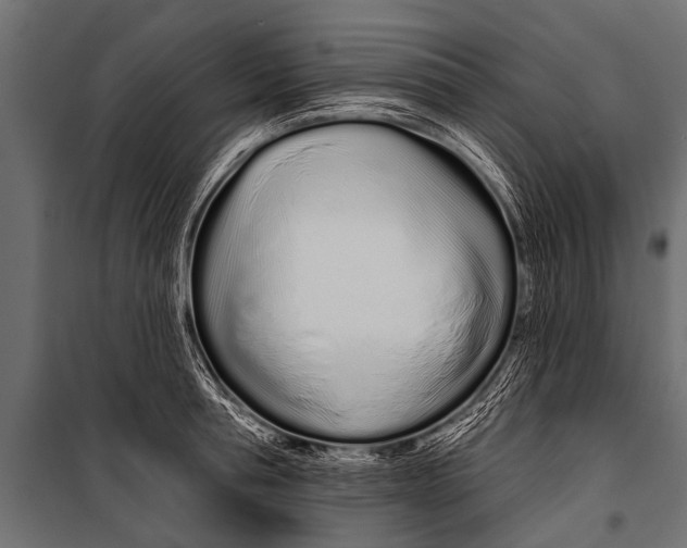 X0000099960994200806201333