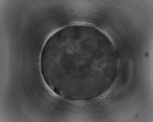 X0000099960995200806201333