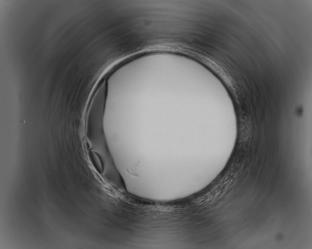 X0000099960996200806201333