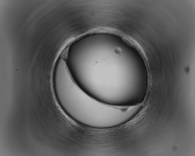 X0000099960997200806201333