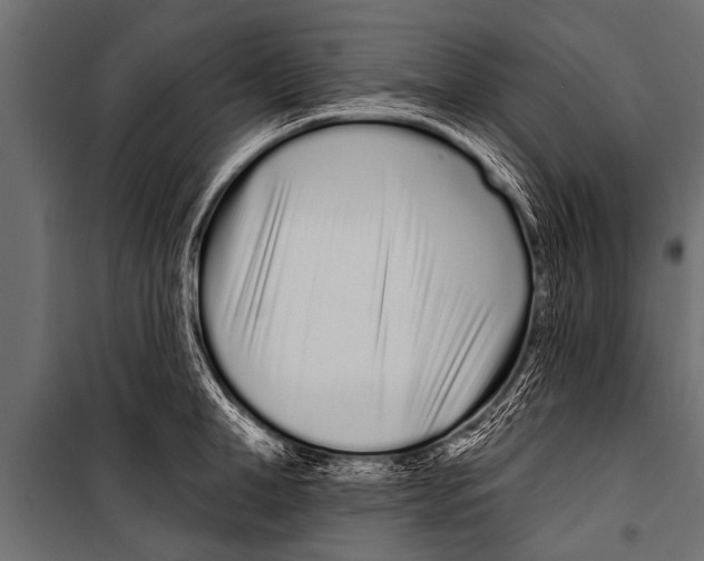 X0000099960998200806201333