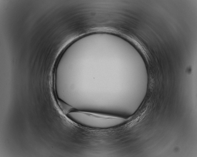 X0000099960999200806201333