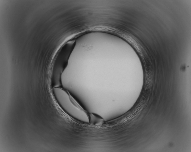 X0000099961000200806201333