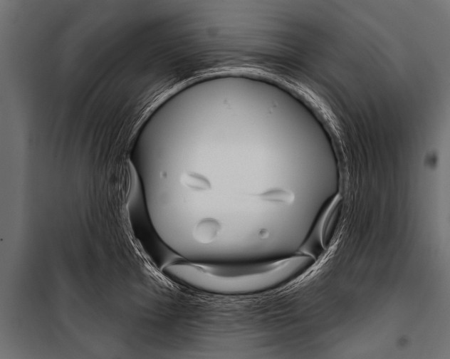 X0000099961001200806201333