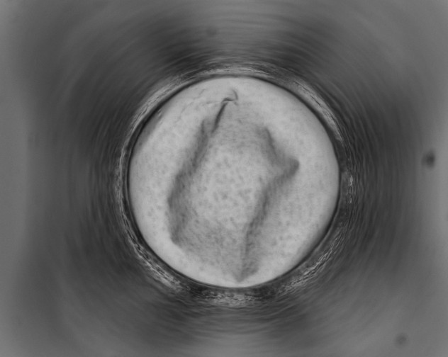 X0000099961002200806201333