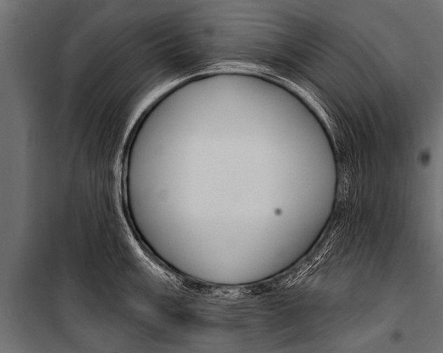 X0000099961003200806201333