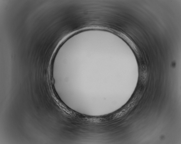 X0000099961004200806201333