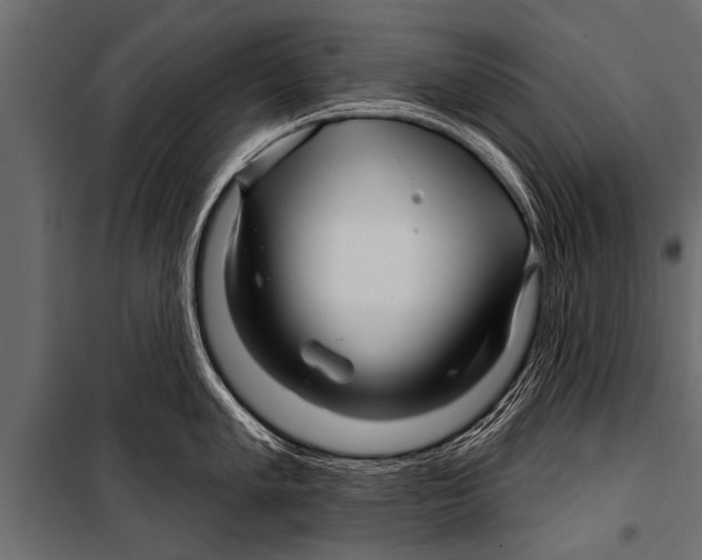 X0000099961005200806201333