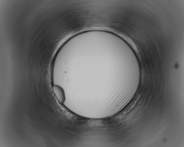 X0000099961006200806201333