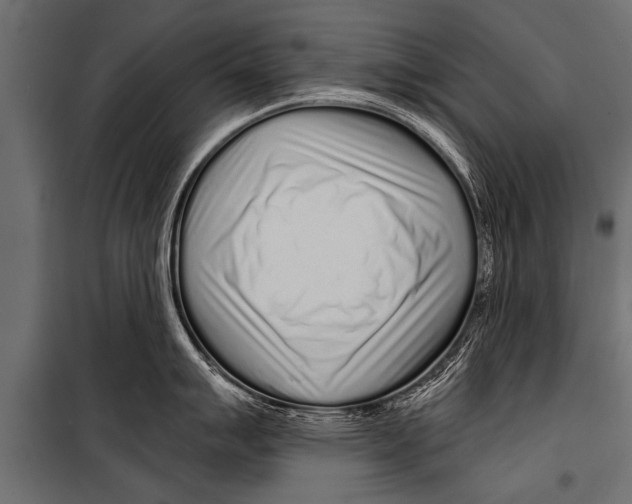 X0000099961007200806201333