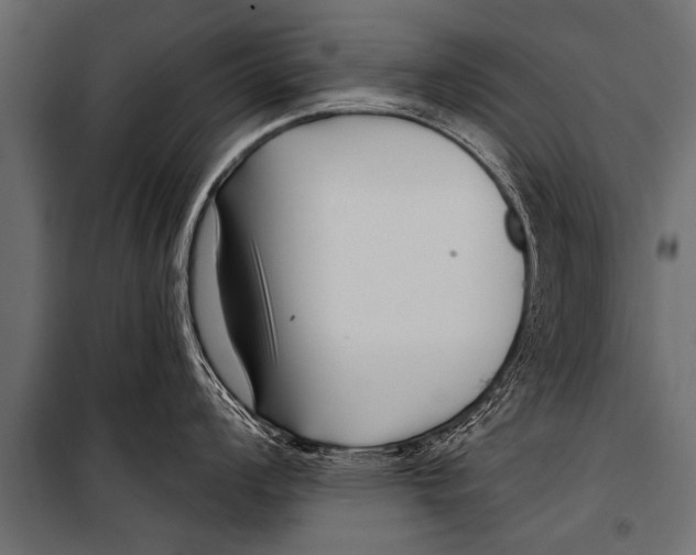 X0000099961008200806201333