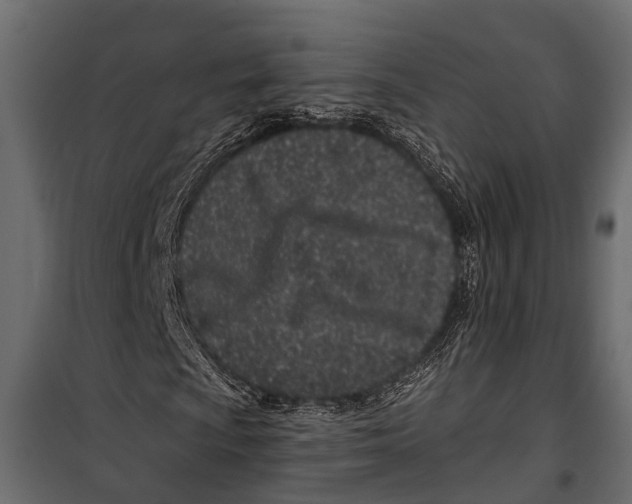 X0000099961009200806201332