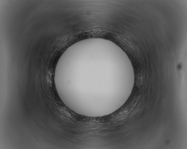 X0000099961010200806201332