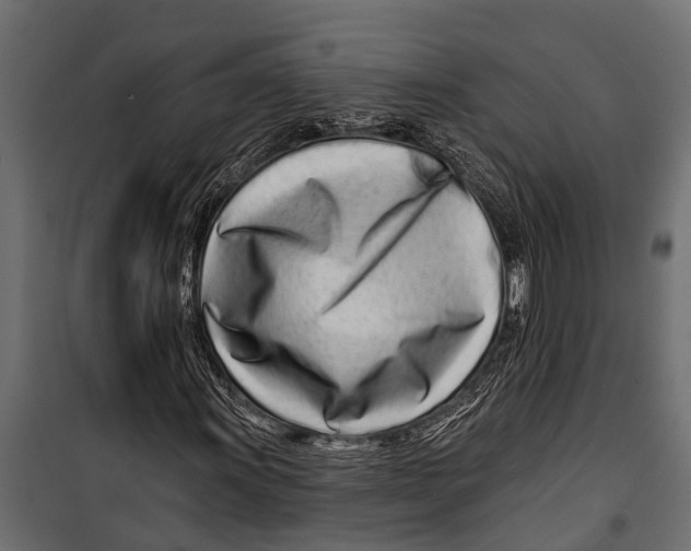 X0000099961011200806201332