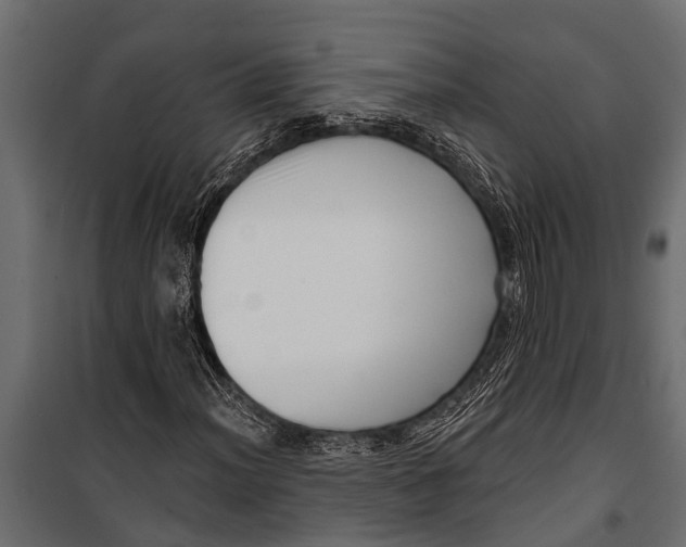 X0000099961012200806201332