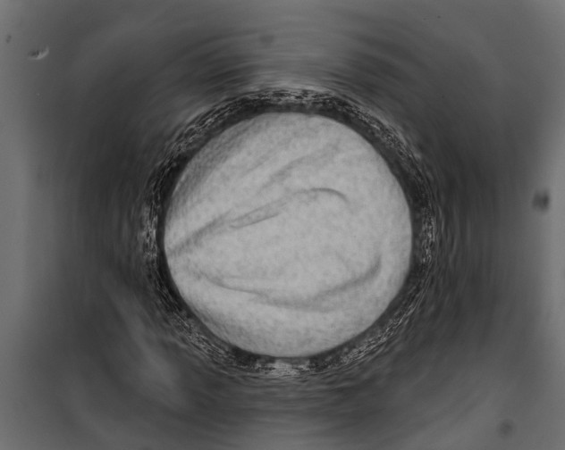 X0000099961013200806201332