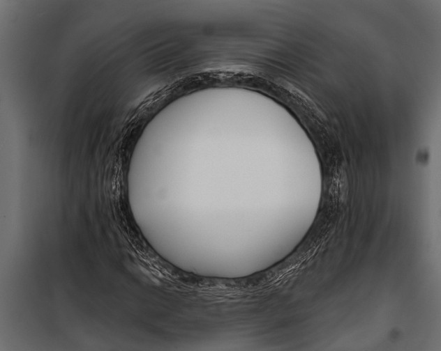 X0000099961014200806201332