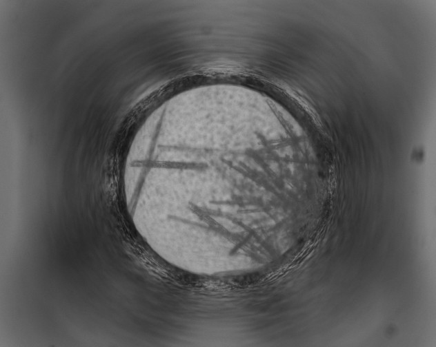 X0000099961015200806201332