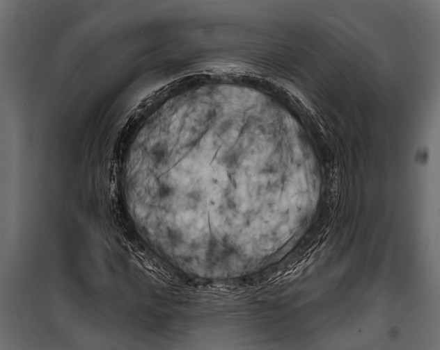 X0000099961016200806201332