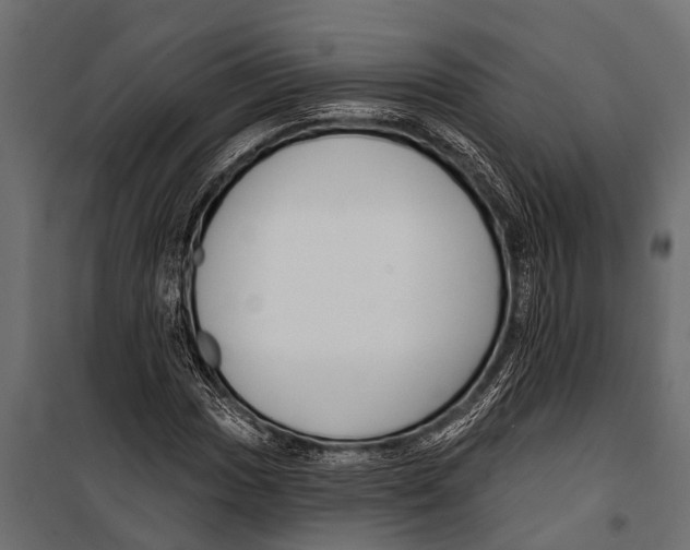 X0000099961017200806201332