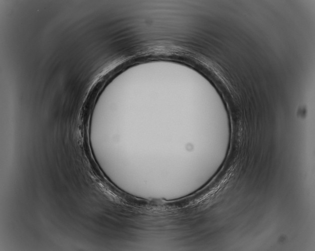 X0000099961018200806201332