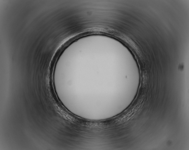 X0000099961020200806201332