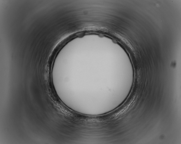 X0000099961021200806201332