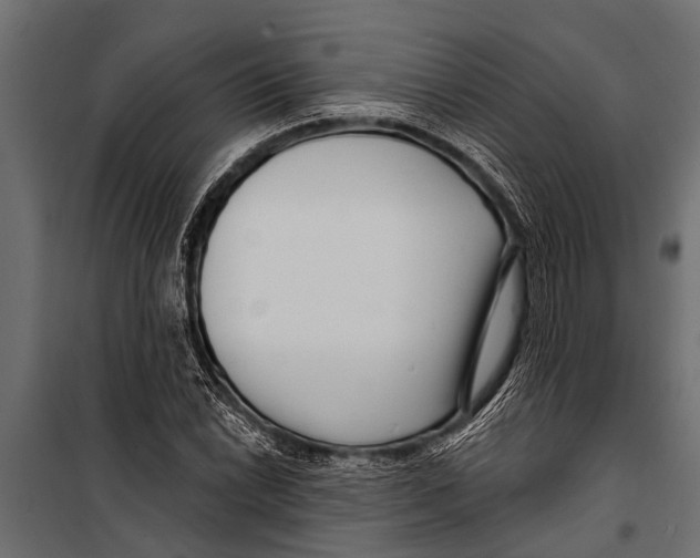 X0000099961022200806201332