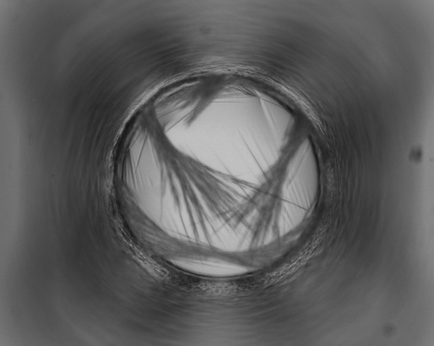 X0000099961023200806201332