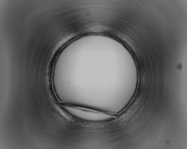 X0000099961026200806201332