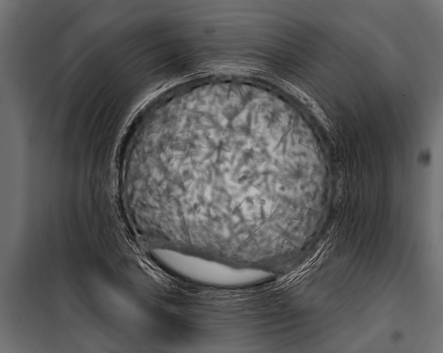 X0000099961027200806201332