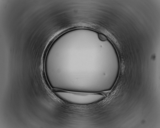 X0000099961028200806201332